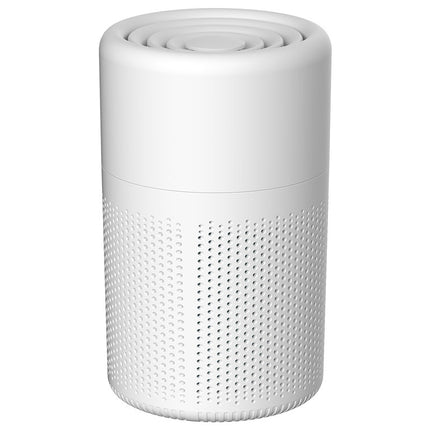 Portable Desktop Air Purifier with HEPA Filter