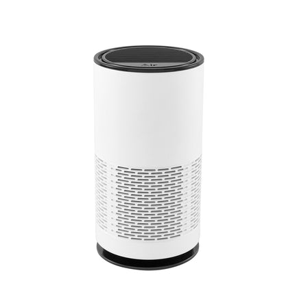 Portable Negative Ion Air Purifier